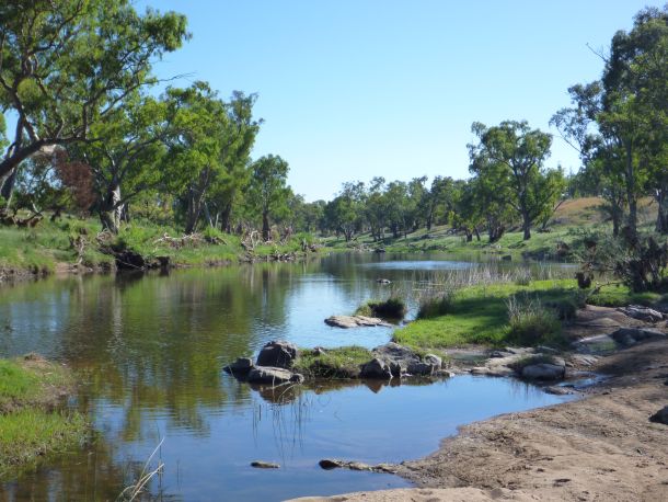 Native fish barrier to be removed
